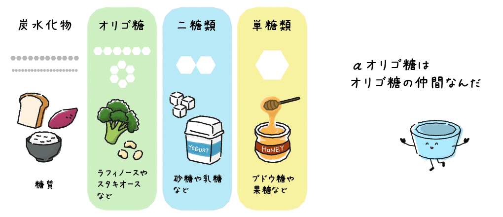 αオリゴ糖はオリゴ糖の仲間なんだ