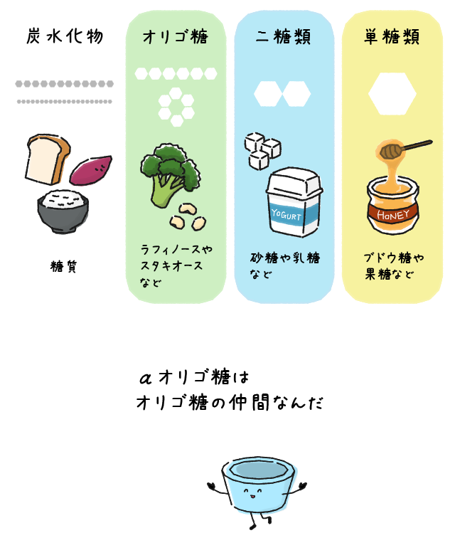 αオリゴ糖はオリゴ糖の仲間なんだ