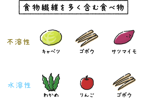 食物繊維を多く含む食べ物