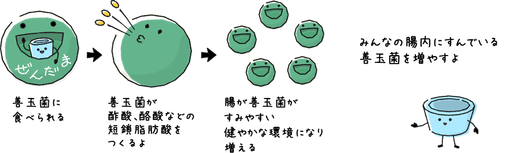 みんなの腸内にすんでいる善玉菌を増やすよ