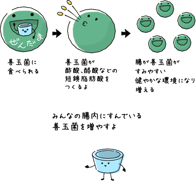 みんなの腸内にすんでいる善玉菌を増やすよ