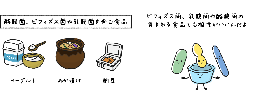 ビフィズス菌、乳酸菌や酪酸菌の含まれる食品とも相性がいいんだよ