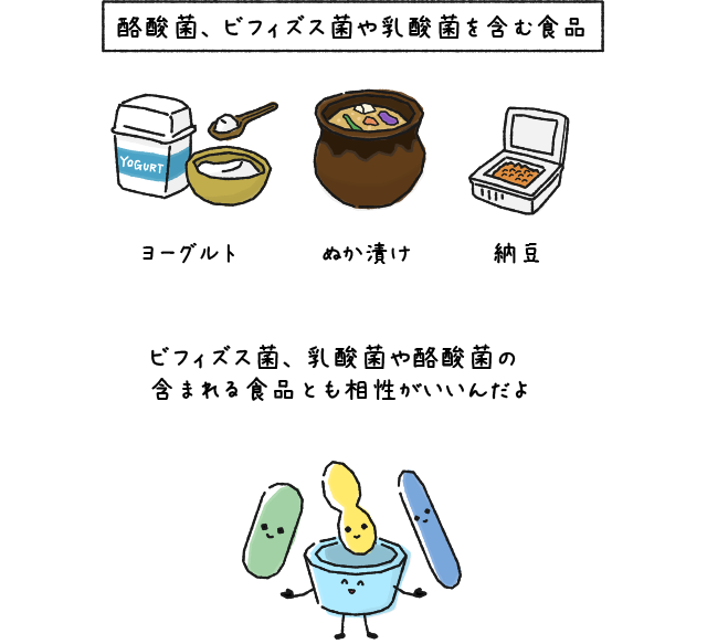 ビフィズス菌、乳酸菌や酪酸菌の含まれる食品とも相性がいいんだよ